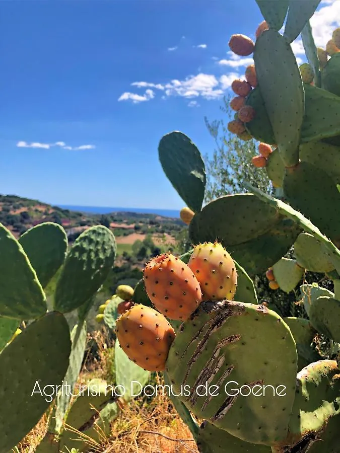 Alloggio per agriturismo Villa Domus De Goene Loceri