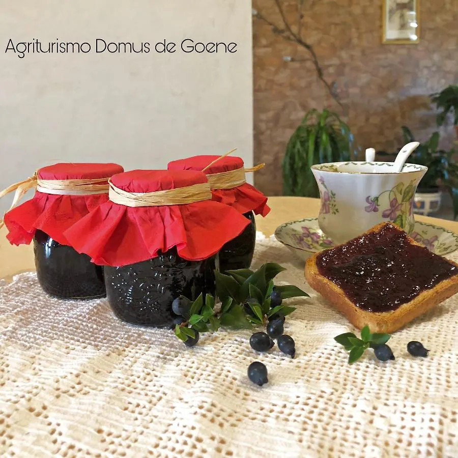 Villa Domus De Goene Loceri Alloggio per agriturismo