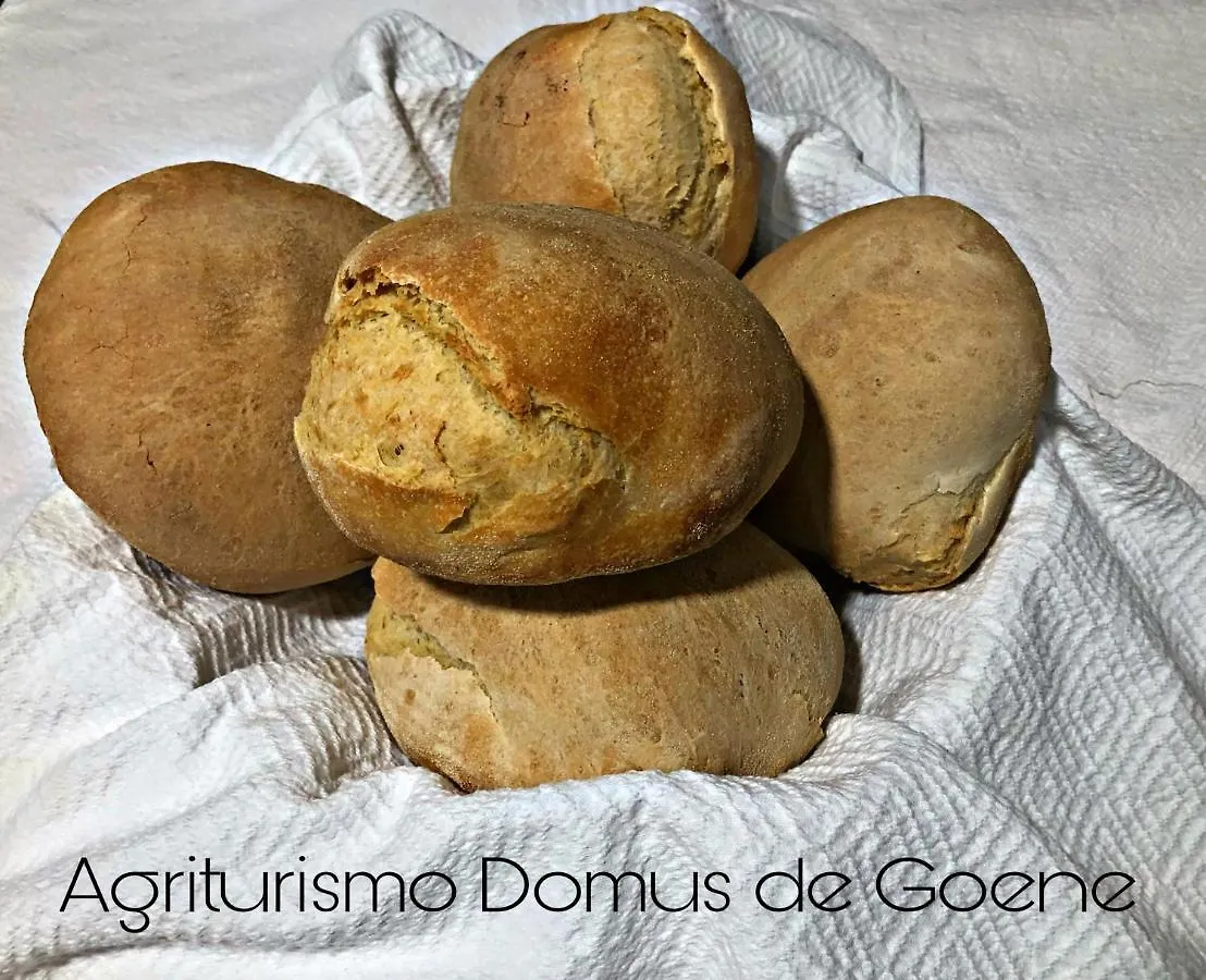 Villa Domus De Goene Loceri Alloggio per agriturismo