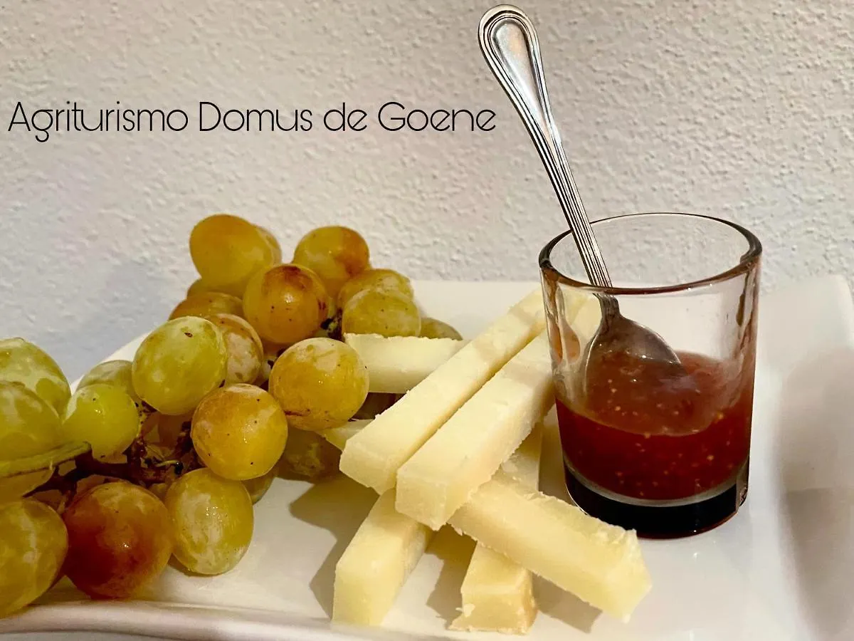Alloggio per agriturismo Villa Domus De Goene Loceri