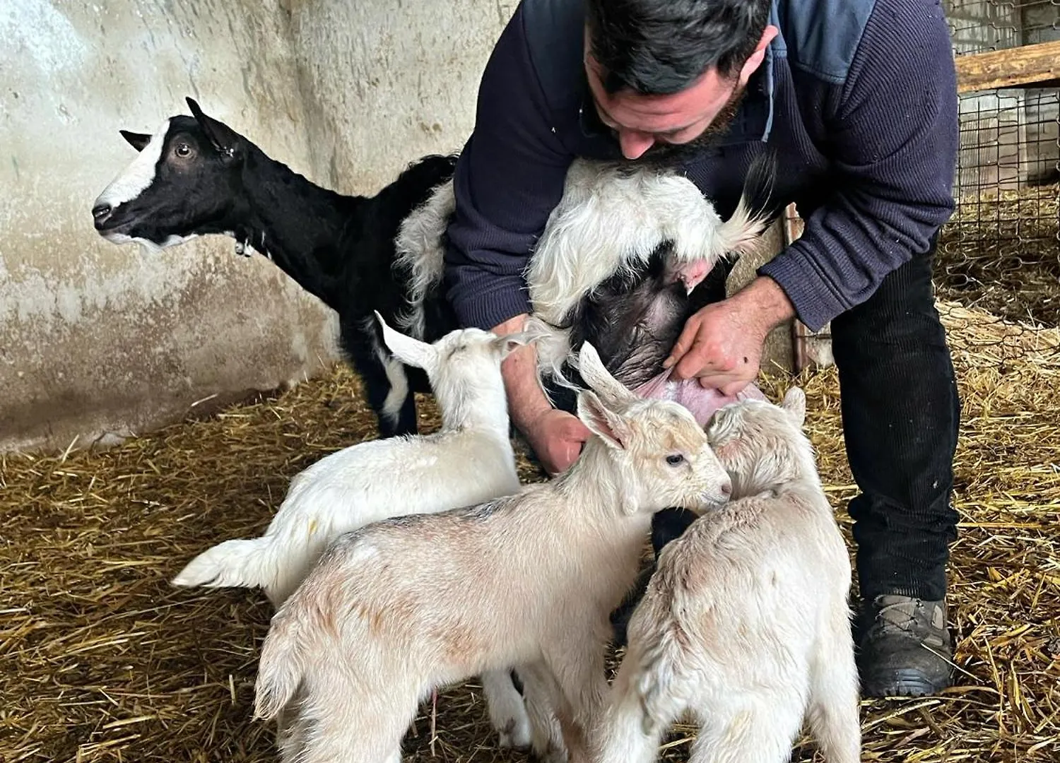 Alloggio per agriturismo Villa Domus De Goene Loceri Italia