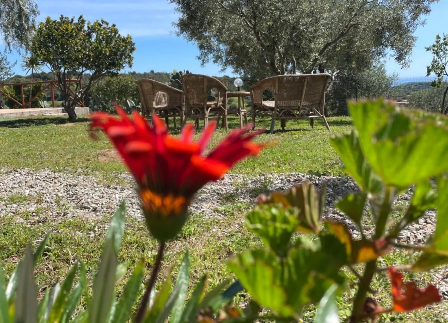 Alloggio per agriturismo Villa Domus De Goene Loceri Italia